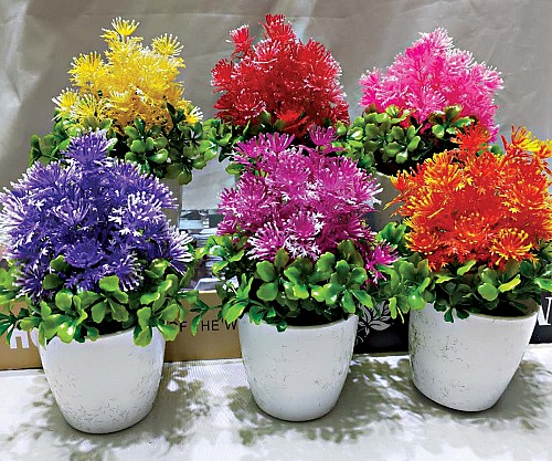 Γλαστράκι με λουλούδι   A0220