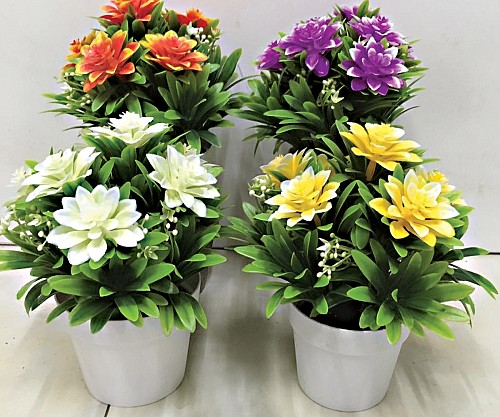 Γλαστράκι με λουλούδι   A19LHX