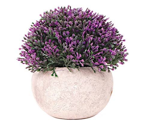 Γλαστράκι με λουλούδι   D220309-9